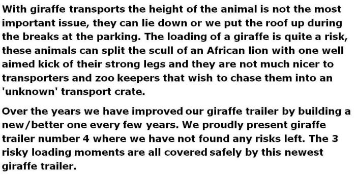 giraffe1